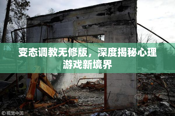 变态调教无修版，深度揭秘心理游戏新境界