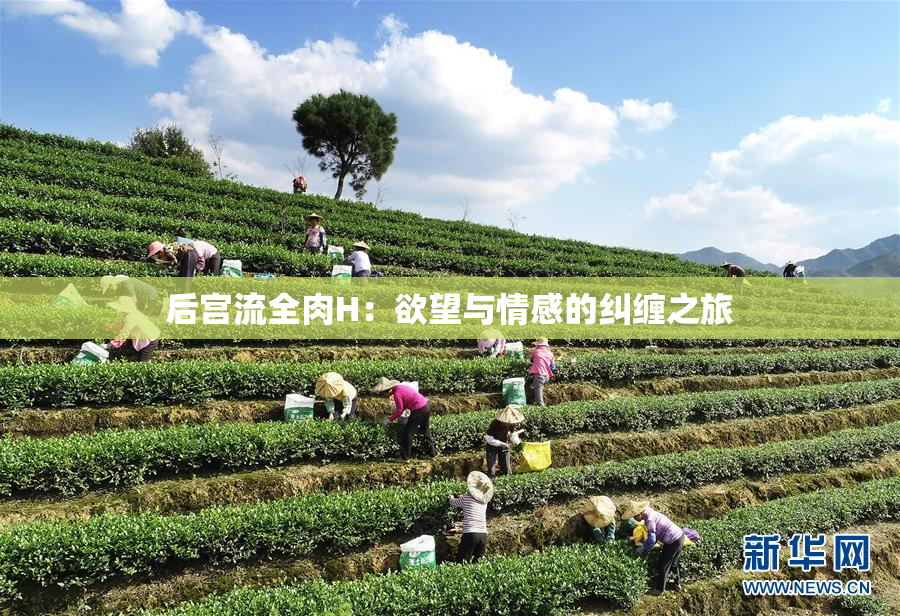 后宫流全肉H：欲望与情感的纠缠之旅