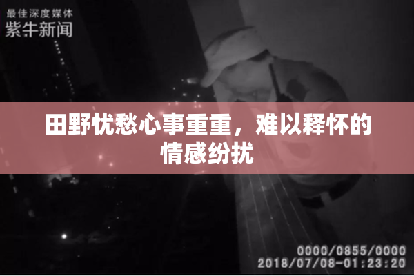 田野忧愁心事重重，难以释怀的情感纷扰