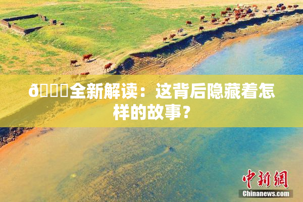🈚全新解读：这背后隐藏着怎样的故事？