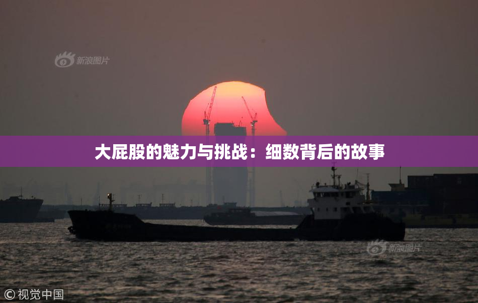大屁股的魅力与挑战：细数背后的故事