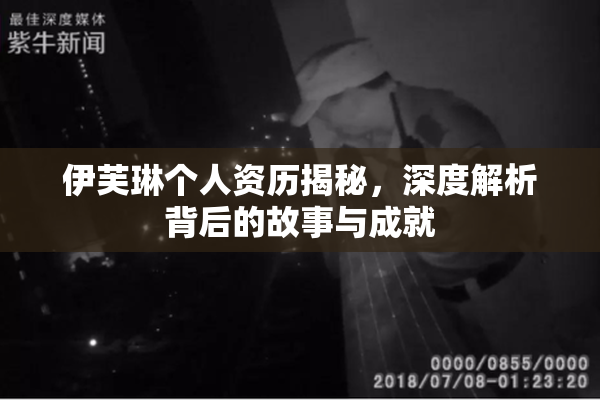 伊芙琳个人资历揭秘，深度解析背后的故事与成就
