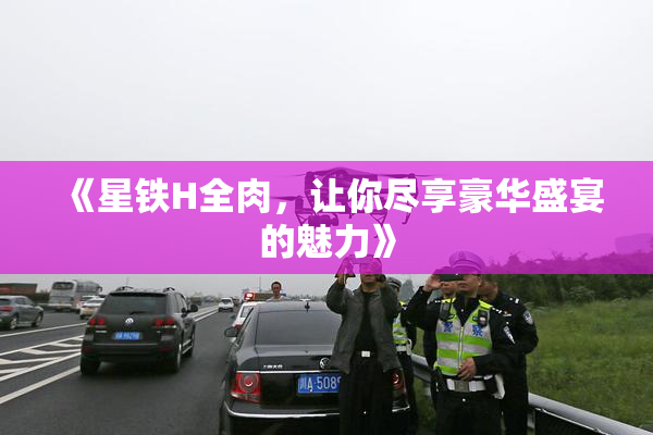 《星铁H全肉，让你尽享豪华盛宴的魅力》