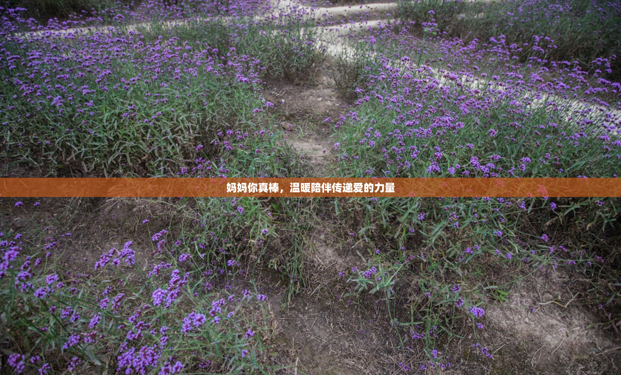 妈妈你真棒，温暖陪伴传递爱的力量