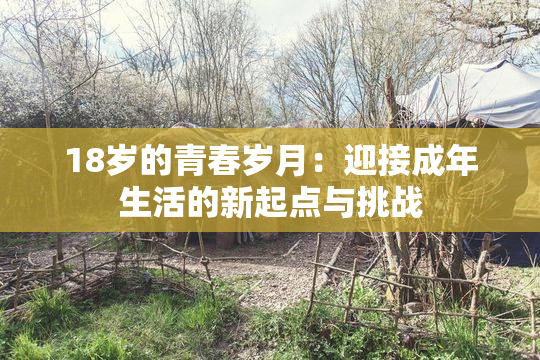18岁的青春岁月：迎接成年生活的新起点与挑战