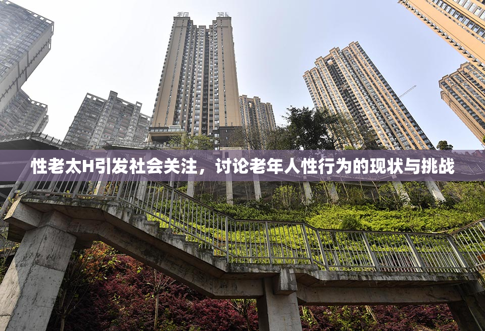 性老太H引发社会关注，讨论老年人性行为的现状与挑战