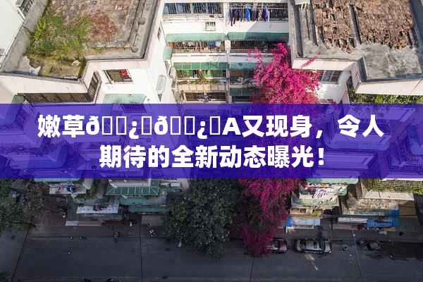 嫩草🌿‌🌿‌A又现身，令人期待的全新动态曝光！