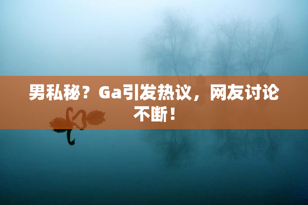 男私秘？Ga引发热议，网友讨论不断！