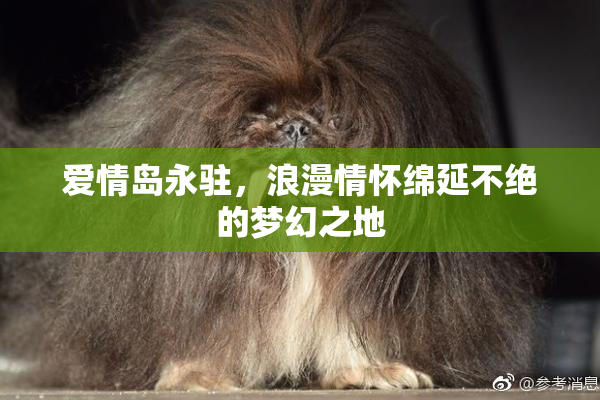 爱情岛永驻，浪漫情怀绵延不绝的梦幻之地