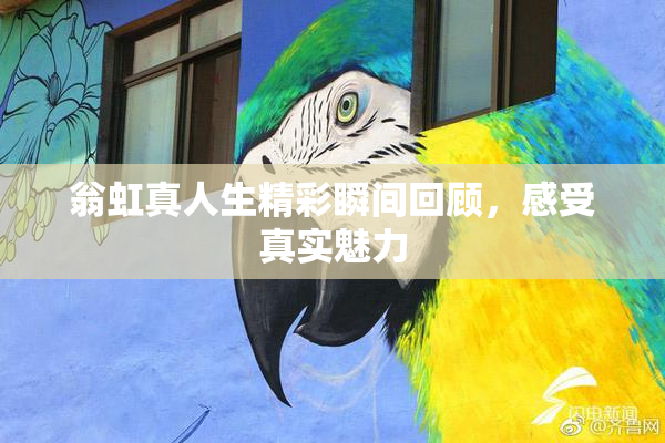翁虹真人生精彩瞬间回顾，感受真实魅力