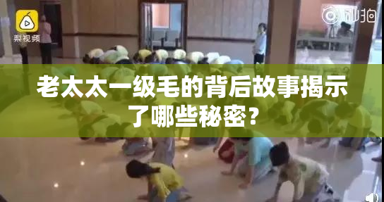 老太太一级毛的背后故事揭示了哪些秘密？