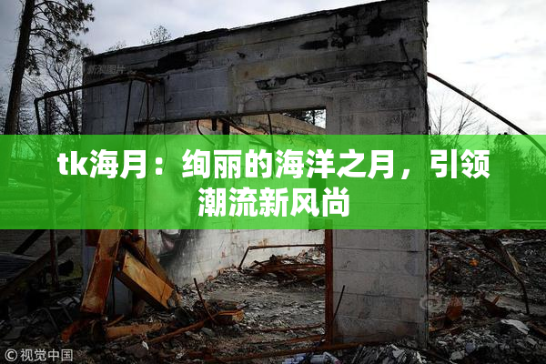 tk海月：绚丽的海洋之月，引领潮流新风尚