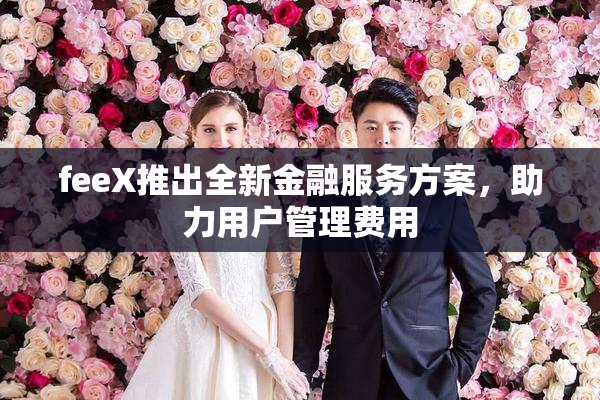 feeX推出全新金融服务方案，助力用户管理费用