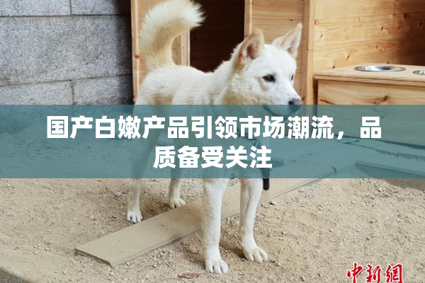国产白嫩产品引领市场潮流，品质备受关注