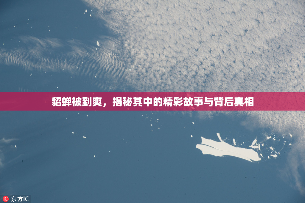 貂蝉被到爽，揭秘其中的精彩故事与背后真相