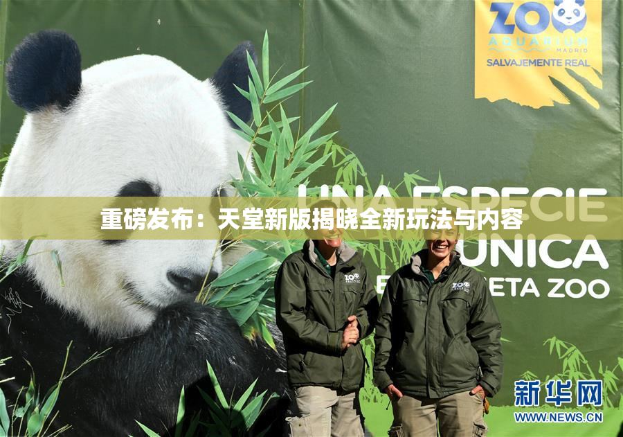 重磅发布：天堂新版揭晓全新玩法与内容