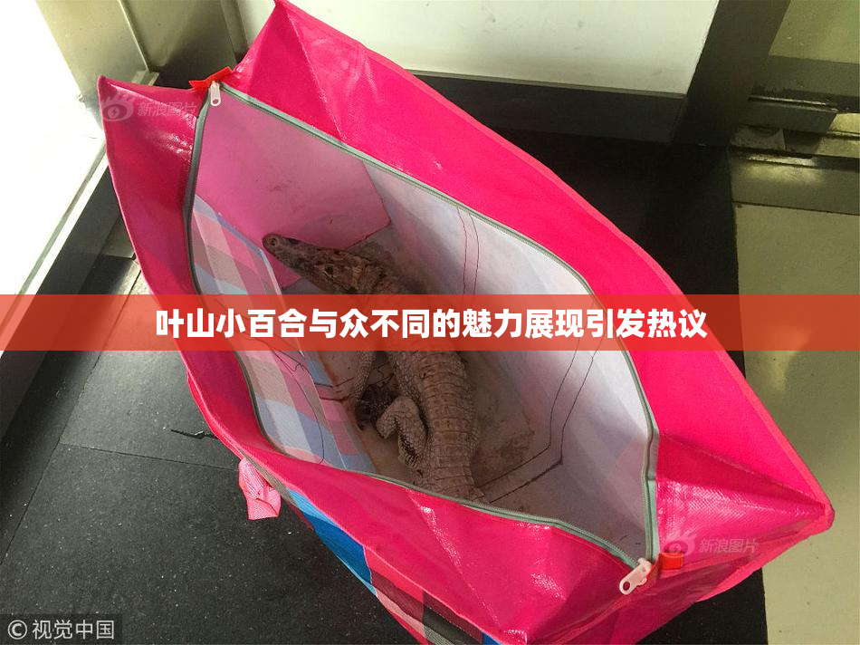 叶山小百合与众不同的魅力展现引发热议