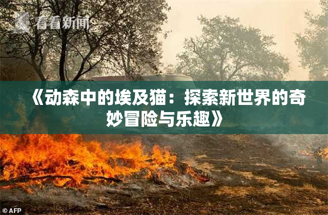 《动森中的埃及猫：探索新世界的奇妙冒险与乐趣》