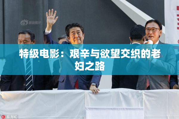 特级电影：艰辛与欲望交织的老妇之路
