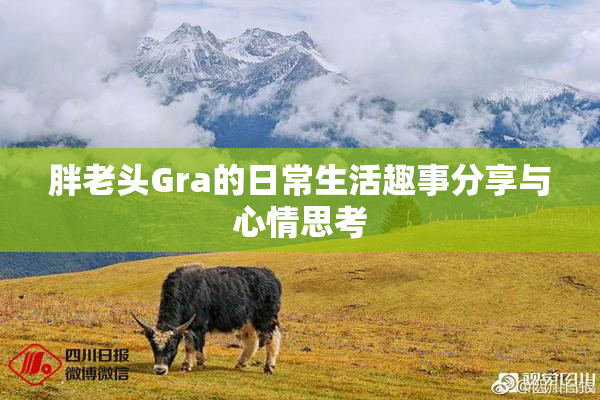 胖老头Gra的日常生活趣事分享与心情思考