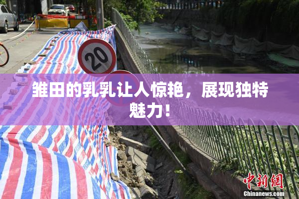 雏田的乳乳让人惊艳，展现独特魅力！