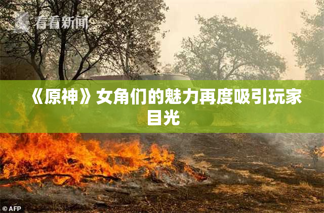 《原神》女角们的魅力再度吸引玩家目光