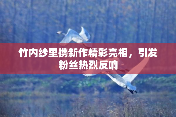 竹内纱里携新作精彩亮相，引发粉丝热烈反响