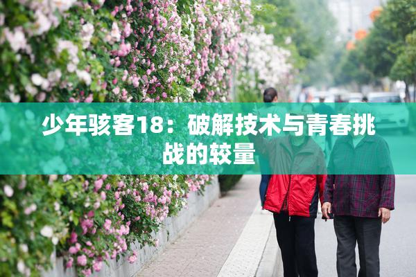少年骇客18：破解技术与青春挑战的较量