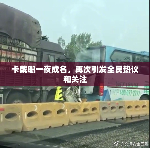 卡戴珊一夜成名，再次引发全民热议和关注