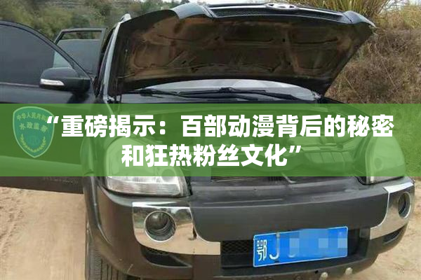 “重磅揭示：百部动漫背后的秘密和狂热粉丝文化”