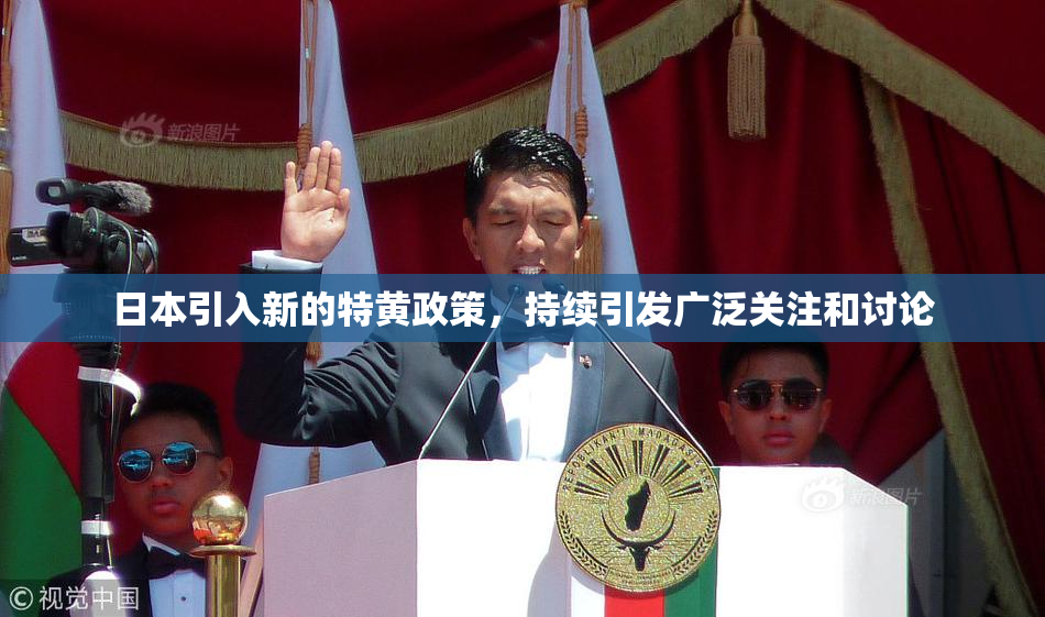 日本引入新的特黄政策，持续引发广泛关注和讨论