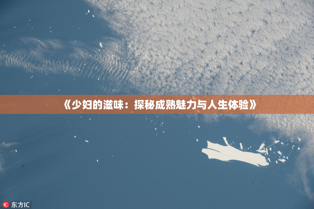 《少妇的滋味：探秘成熟魅力与人生体验》