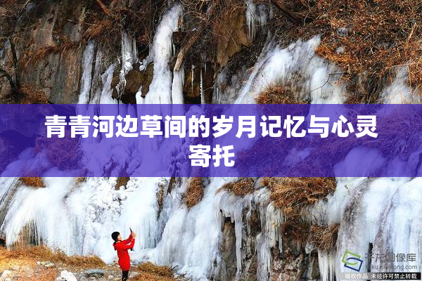 青青河边草间的岁月记忆与心灵寄托
