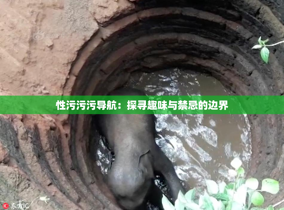 性污污污导航：探寻趣味与禁忌的边界