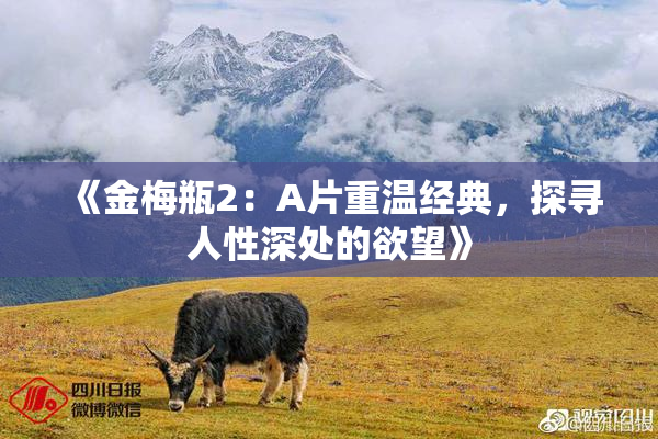 《金梅瓶2：A片重温经典，探寻人性深处的欲望》