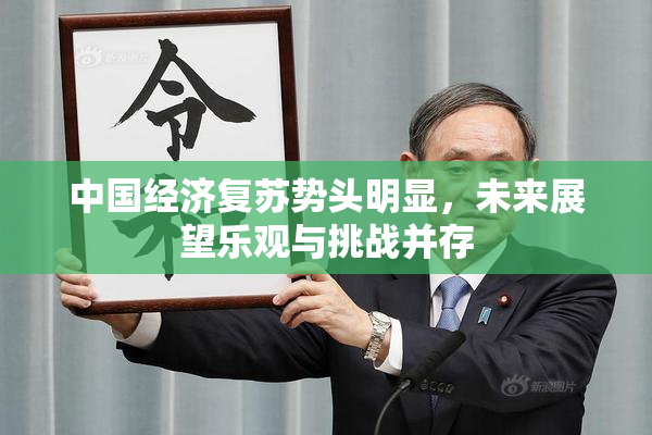 中国经济复苏势头明显，未来展望乐观与挑战并存