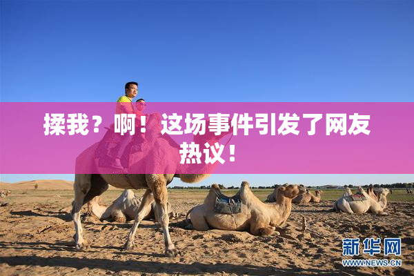揉我？啊！这场事件引发了网友热议！