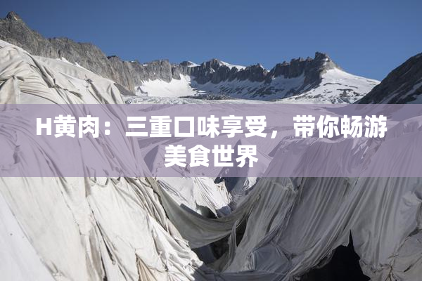 H黄肉：三重口味享受，带你畅游美食世界