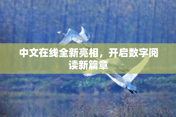 中文在线全新亮相，开启数字阅读新篇章