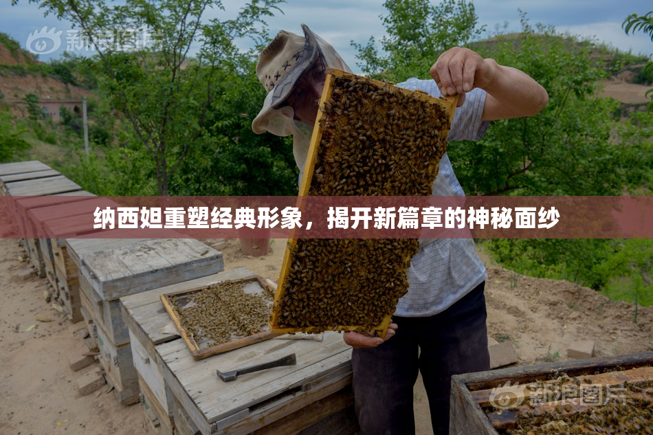 纳西妲重塑经典形象，揭开新篇章的神秘面纱