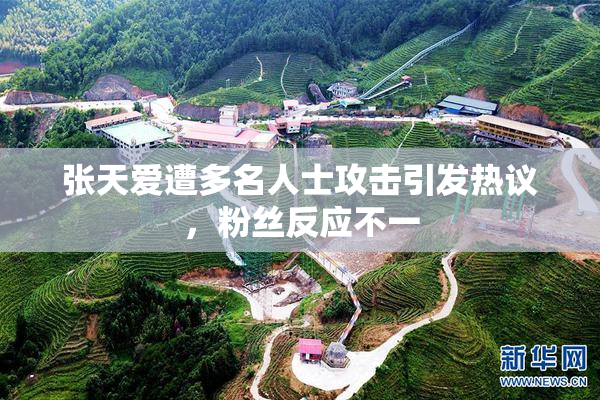 张天爱遭多名人士攻击引发热议，粉丝反应不一