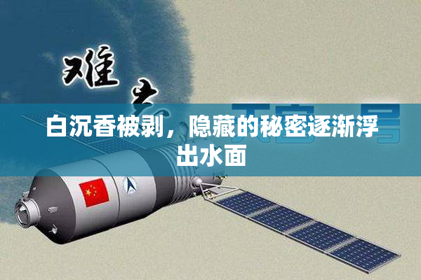 白沉香被剥，隐藏的秘密逐渐浮出水面