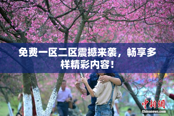 免费一区二区震撼来袭，畅享多样精彩内容！
