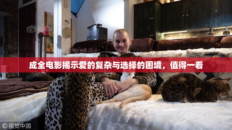 成全电影揭示爱的复杂与选择的困境，值得一看