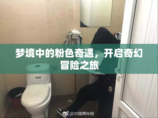 梦境中的粉色奇遇，开启奇幻冒险之旅