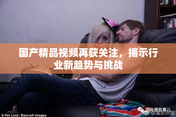 国产精品视频再获关注，揭示行业新趋势与挑战