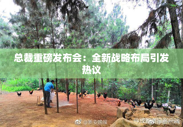 总裁重磅发布会：全新战略布局引发热议