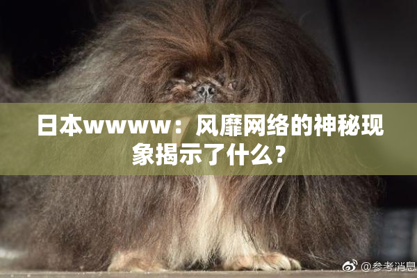 日本wwww：风靡网络的神秘现象揭示了什么？
