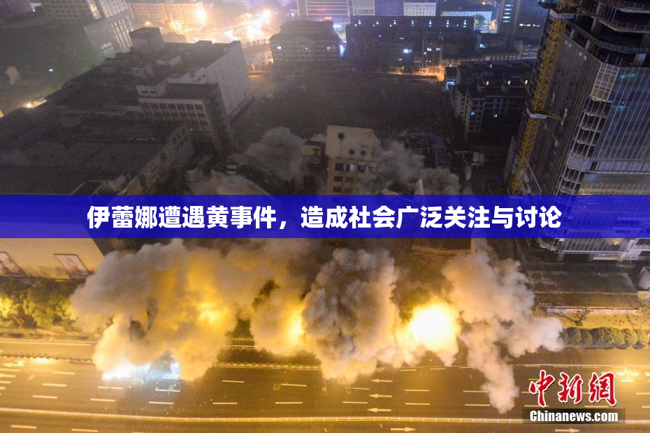 伊蕾娜遭遇黄事件，造成社会广泛关注与讨论