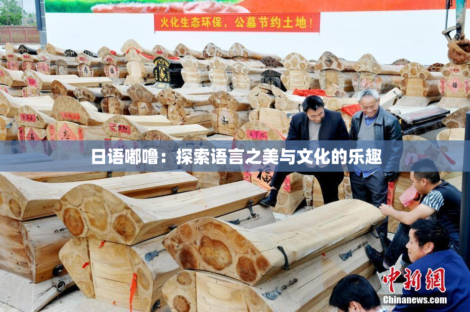 日语嘟噜：探索语言之美与文化的乐趣